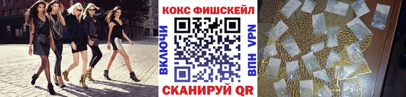 Купить закладки  Шахунья  Cocaine FishScale 